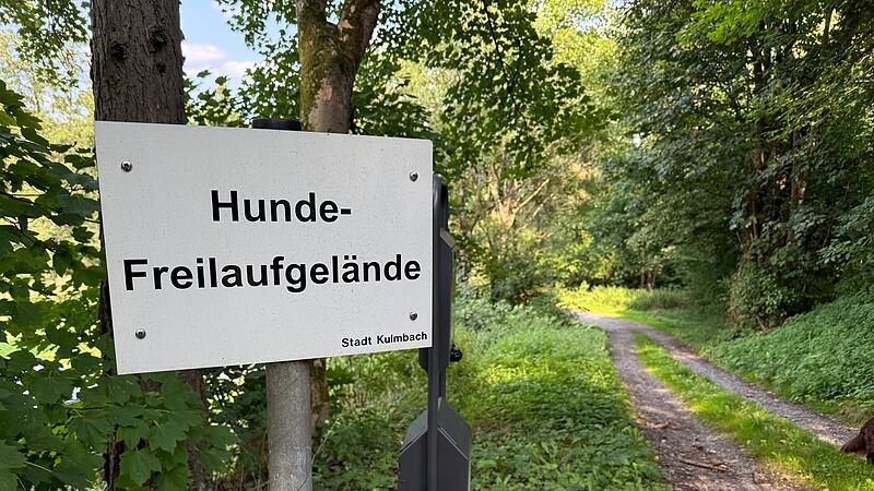Freilaufgelände Freibad