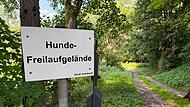 Freilaufgelände Freibad