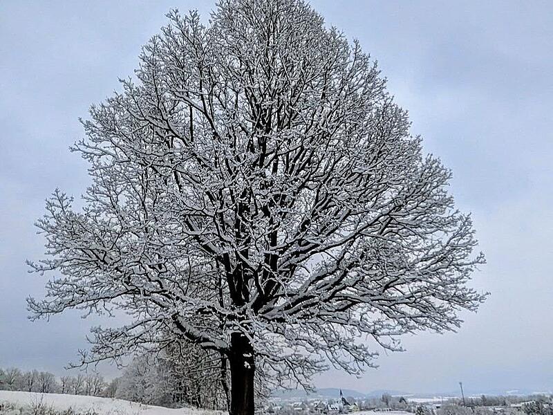 Schnee in Kulmbach: Die sch&ouml;nsten Leserfotos