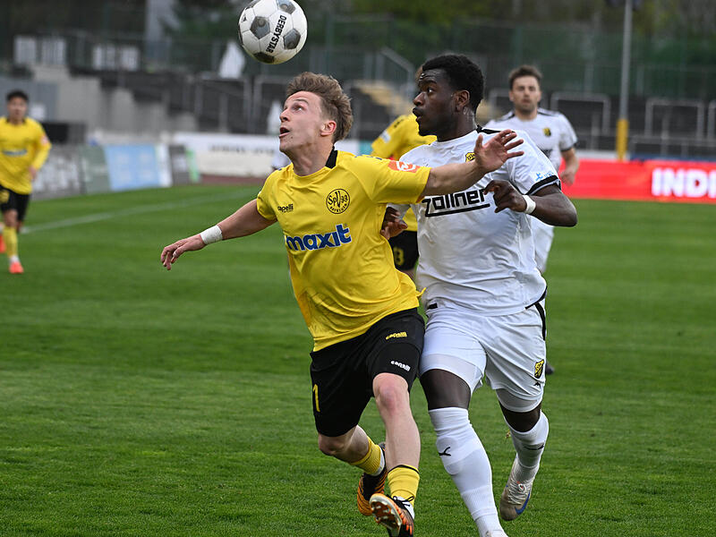 Sport Fu&szlig;ball Saison 2025 / 2026 Regionalliga Bayern 29. Spieltag  Freitag 17.04.2026  Spielort Bayreuth Hans-Walter-Wild-Stadion Spielbeginn 19.00 h SpVgg  Bayreuth gegen DJK Vilzing  Halbzeitergebnis Max Fesser Alexis Fambo