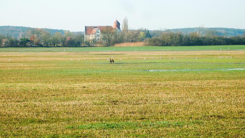 Das geplante Wellnesshotel bei Neuhaus sorgt f&uuml;r Kritik: Das Areal liegt in der N&auml;he des Naturschutzgebiets &bdquo;Ziegenanger&ldquo;.