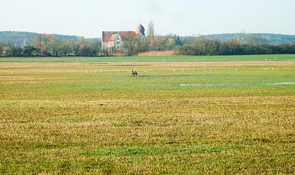 Das geplante Wellnesshotel bei Neuhaus sorgt f&uuml;r Kritik: Das Areal liegt in der N&auml;he des Naturschutzgebiets &bdquo;Ziegenanger&ldquo;.