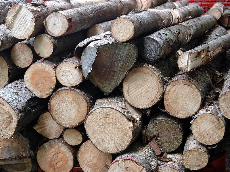Die Holzvermarktung ist f&uuml;r die Waldbesitzervereinigung Hollfeld schwieriger geworden.