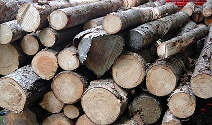 Die Holzvermarktung ist f&uuml;r die Waldbesitzervereinigung Hollfeld schwieriger geworden.