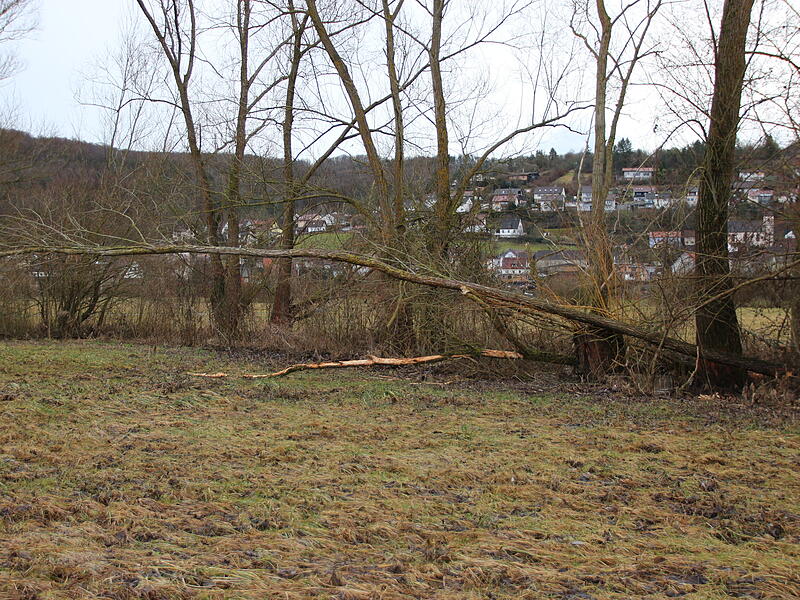 Biber Radweg Pfaffenhausen Hammelburg