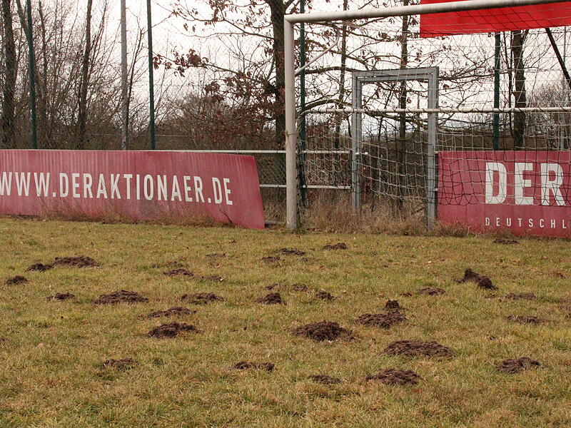 Seit mittlerweile vier Jahren hat der ATS Kulmbach keine Fu&szlig;ballmannschaft mehr. Nun verwildern die Fu&szlig;ballpl&auml;tze der Sportanlage in Weiher immer mehr.