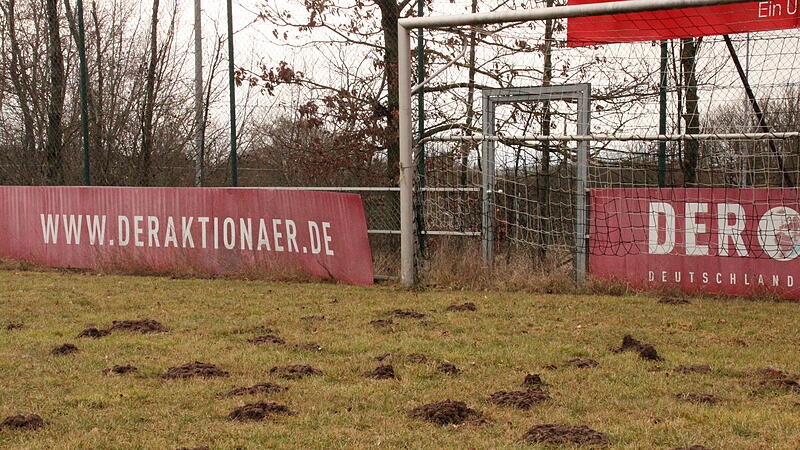 Seit mittlerweile vier Jahren hat der ATS Kulmbach keine Fu&szlig;ballmannschaft mehr. Nun verwildern die Fu&szlig;ballpl&auml;tze der Sportanlage in Weiher immer mehr.