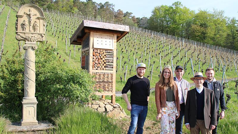 In den Ramsthaler Weinbergen unterwegs