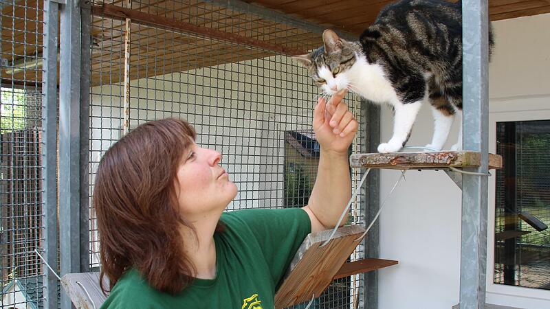 Stellvertretende Tierheimleiterin Katrin Meserth begr&uuml;&szlig;t Katze Nala.