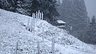 Schneefall in den h&ouml;heren Lagen Bayerns