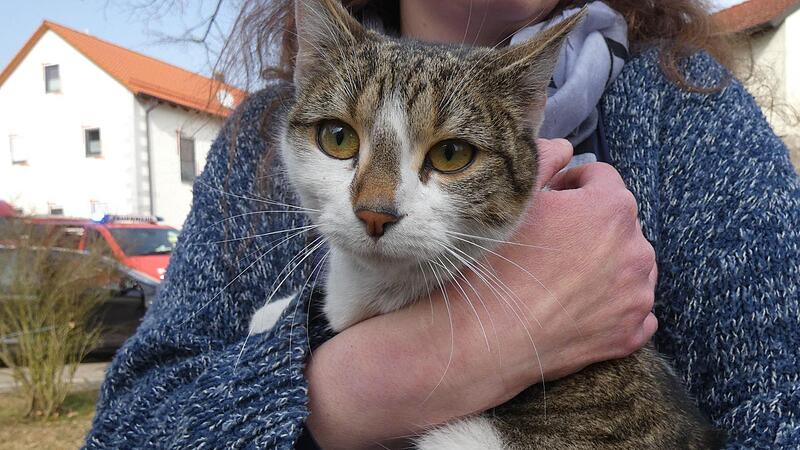 Zumindest Katze Lilly konnte von den Hausbewohnern gl&uuml;cklich in die Arme genommen werden. Sie wurde im Wohnhaus gefunden und hat augenscheinlich keine Verletzungen. Nicht so viel Gl&uuml;ck hatte eine weitere Katze, von der vermutet  wird, dass sie in den Flammen ums Leben gekommen ist. Auch zahlreiche Zierv&ouml;gel im Anbau &uuml;berstanden das Feuer nicht.