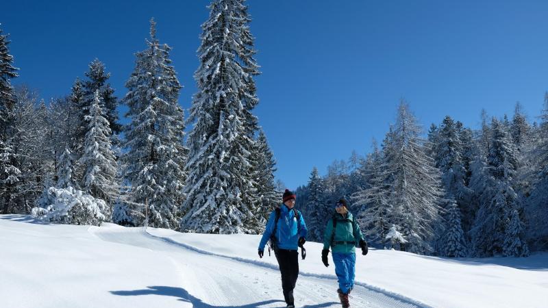 Wanderweg auf der Hemmersuppenalm