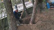 Sieht so die Zukunft in Forchheims Vorgärten aus? Weil keine Baumschutzverordnung verabschiedet worden ist, haben Gartenbesitzer ab Oktober freie Hand. Das birgt Gefahren.Forchheim & Fränkische Schweiz Sieht so die Zukunft in Forchheims Vorgärten aus? Weil keine Baumschutzverordnung verabschiedet worden ist, haben Gartenbesitzer ab Oktober freie Hand. Das birgt Gefahren.Forchheim & Fränkische Schweiz
