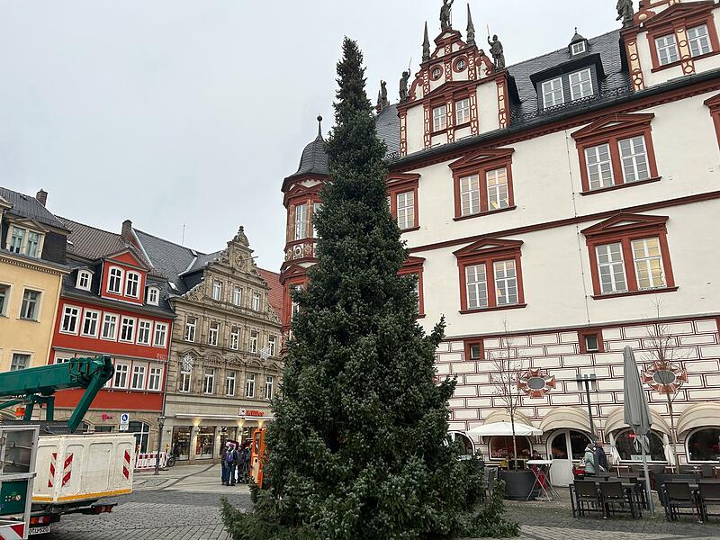 Unterwegs mit dem Coburger Weihnachtsbaum