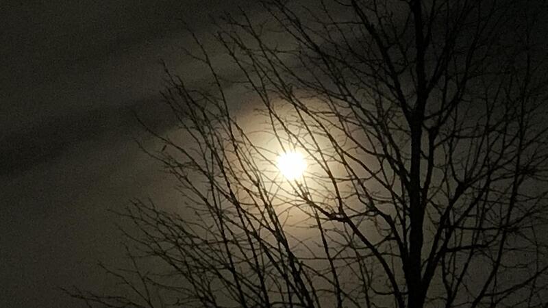 Mystisch angehaucht ist es, wenn sich Raureif bei Mondschein  im Landkreis Forchheim bildet.Forchheim & Fr&auml;nkische Schweiz