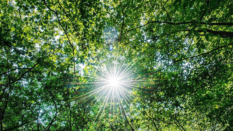 Positive Erlebnisse sind die Sonnenstrahlen in unserem Alltag, die wir dringend brauchen. Positive Erlebnisse sind die Sonnenstrahlen in unserem Alltag, die wir dringend brauchen.