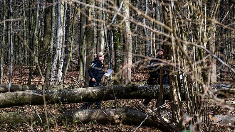 Baum umgestürzt – Drei Tote bei Flensburg Baum umgestürzt – Drei Tote bei Flensburg