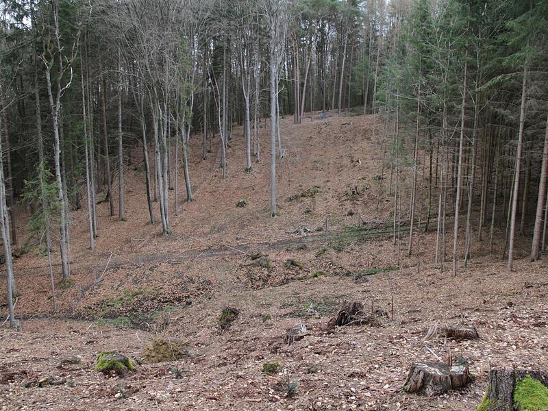 Schwere Waldarbeiten beim Holzeinschlag und dem anschließenden Einzäunen musste der Rentner auf seinem Hanggrundstück verrichten.Forchheim & Fränkische Schweiz Schwere Waldarbeiten beim Holzeinschlag und dem anschließenden Einzäunen musste der Rentner auf seinem Hanggrundstück verrichten.Forchheim & Fränkische Schweiz