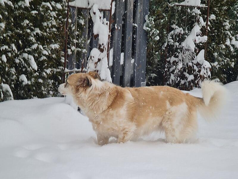Schnee in Kulmbach: Die sch&ouml;nsten Leserfotos