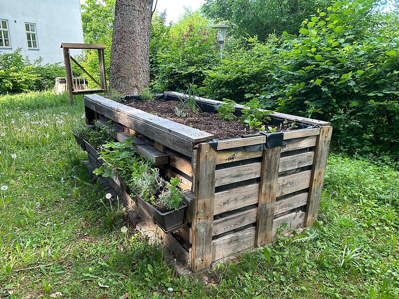 Der neue Contakt-Garten in Coburg soll Lust auf Umwelt- und Naturschutz machen.