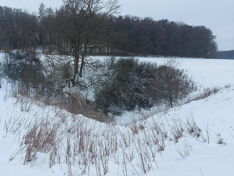 Die Doline bei Seidmar.
