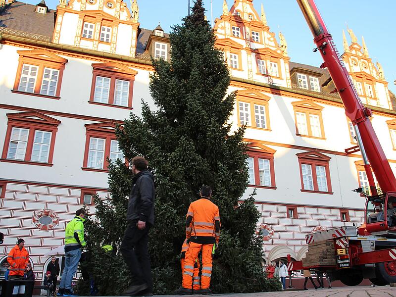 Am Ziel: Kurz nach 16 Uhr erreichte der in Dörfles-Esbach gefällte Baum am Montag den Coburger Marktplatz. Am Ziel: Kurz nach 16 Uhr erreichte der in Dörfles-Esbach gefällte Baum am Montag den Coburger Marktplatz.