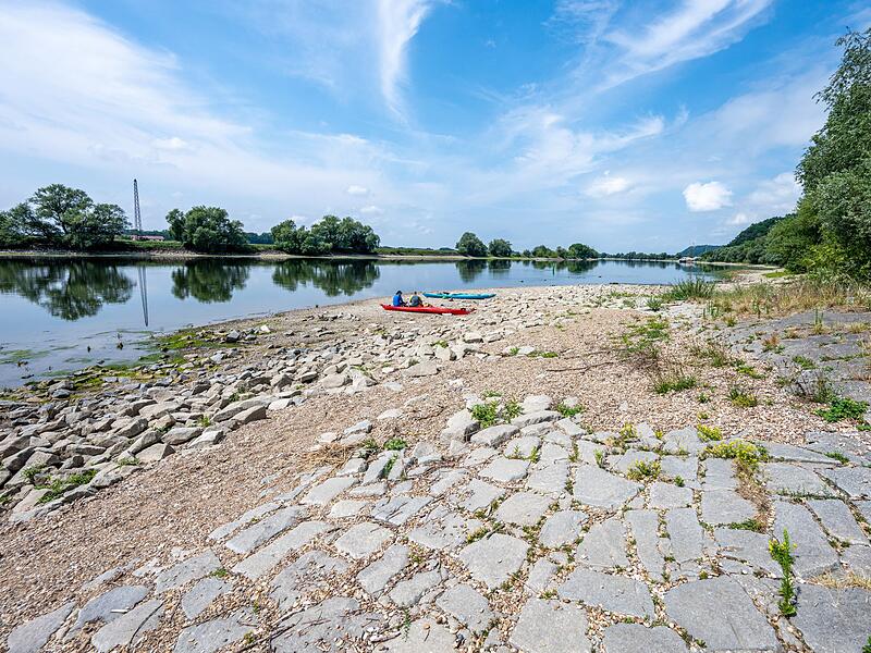 Niedrigwasser Donau
