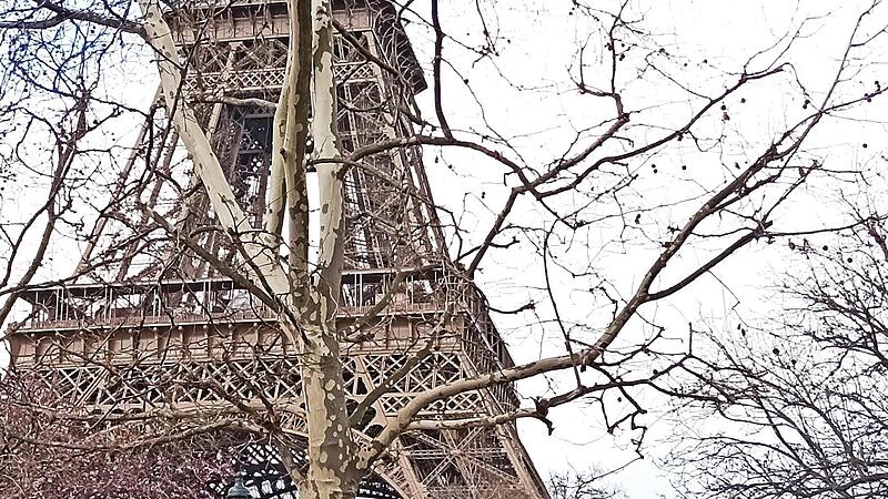 Gruppenfoto am Eiffelturm in Paris.