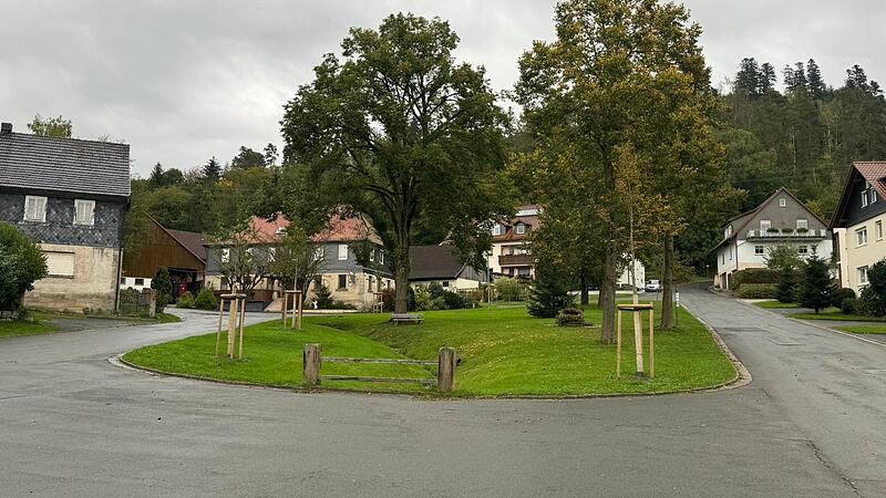 Wie hier im Wallfahrtsort Glosberg hat es mehrere Neupflanzungen gegeben.