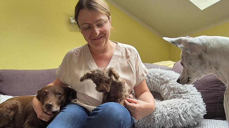 Hunde: Familie PompeTeacup-Pudel bei Familie Pompe