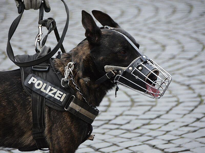 Schussger&auml;usche in Weitramsdorf? Polizei &auml;u&szlig;ert Verdacht