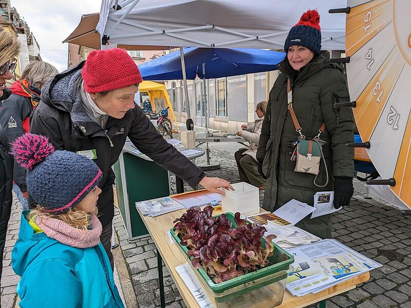 Am Stand von Forchheim for Future konnte man an einem Glücksrad drehen und beispielsweise Salat fürs Hochbeet zuhause gewinnen.Earth Day Forchheim Am Stand von Forchheim for Future konnte man an einem Glücksrad drehen und beispielsweise Salat fürs Hochbeet zuhause gewinnen.Earth Day Forchheim