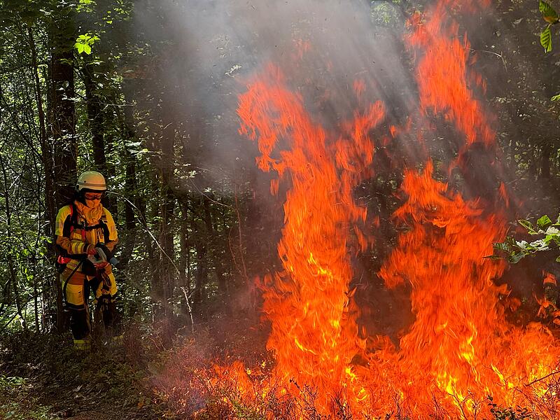Waldbrandübung Kirchehrenbach 2024Waldbrandübung Kirchehrenbach 2024 Waldbrandübung Kirchehrenbach 2024