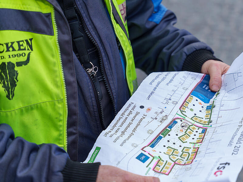 650 Tannenbäume: Bad Neustädter Punschwald