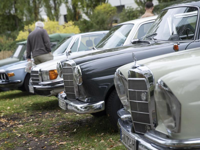 Schutz f&uuml;r die Sch&auml;tzchen