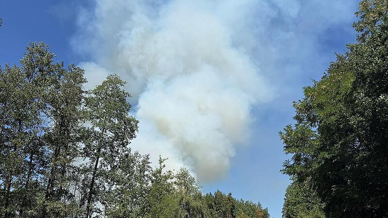 Waldbrand bei Oberhaid: Landratsamt Bamberg mit aktueller Warnung Waldbrand bei Oberhaid: Landratsamt Bamberg mit aktueller Warnung