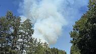 Waldbrand in Oberfranken: Mehrere tausend Quadratmeter in Flammen Waldbrand in Oberfranken: Mehrere tausend Quadratmeter in Flammen