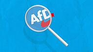 Der Verfassungsschutz will die AfD bundesweit beobachten - Bamberger AfD-Mitglieder fühlen sich stigmatisiert. Der Verfassungsschutz will die AfD bundesweit beobachten - Bamberger AfD-Mitglieder fühlen sich stigmatisiert.