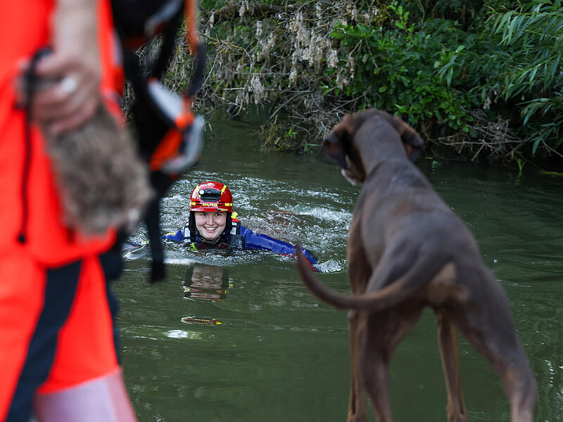 Wasserrettung: &Uuml;bung von DLRG und Rettungshundestaffel in ForchheimWasserrettung: &Uuml;bung von DLRG und Rettungshundestaffel in Forchheim