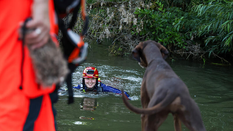 Wasserrettung: &Uuml;bung von DLRG und Rettungshundestaffel in ForchheimWasserrettung: &Uuml;bung von DLRG und Rettungshundestaffel in Forchheim