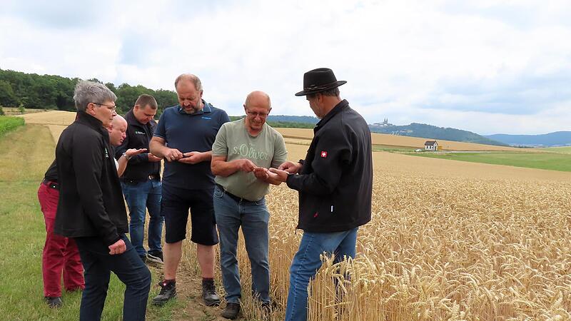 Erntegespr&auml;ch des Bauernverbands vor Ort beim Weizenfeld mit (von li.) Marion Warmuth, Jochen Wunsch, Gabriel Lieb, Lothar Teuchgr&auml;ber, Wolfgang Meixner und Michael Bienlein.