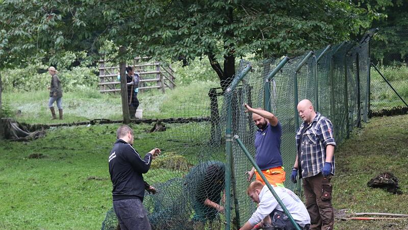 Über 100 Freiwillige kamen in den Wildpark Tambach, um nach dem Starkregen beim Aufräumen zu helfen.