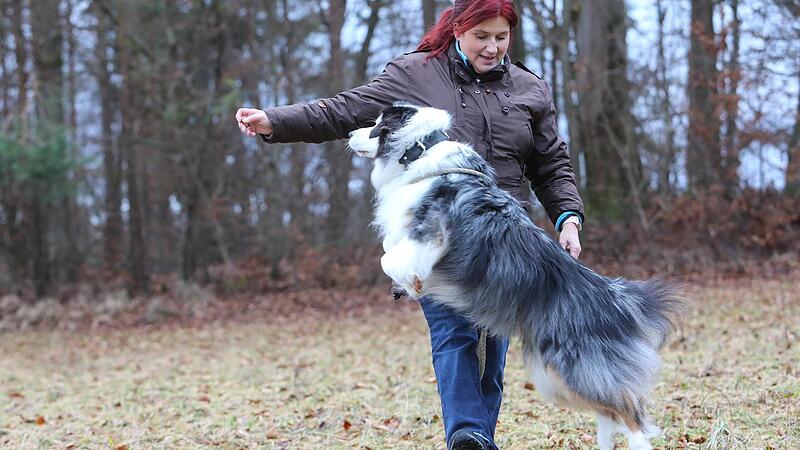 Hundetrainer      Kerstin Pensel    mit       ihrem   Australian Shepherd           Smokey BoyForchheim & Fr&auml;nkische Schweiz