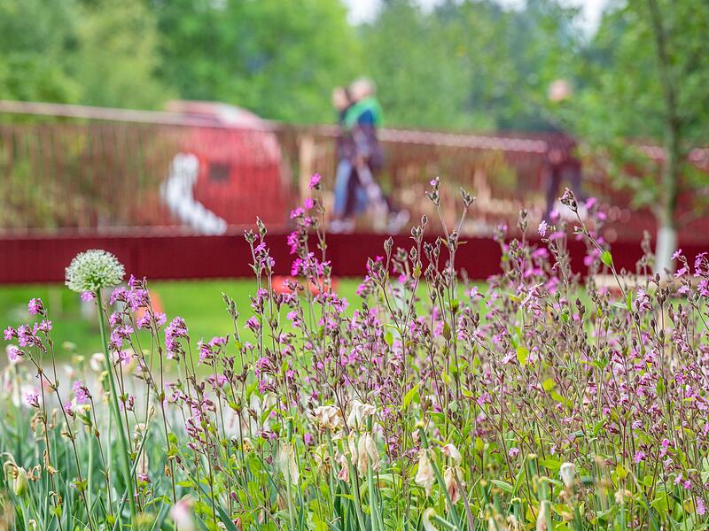 Landesgartenschau 2025 Landesgartenschau 2025
