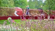 Landesgartenschau 2025 Landesgartenschau 2025
