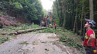 Dank einer Spezialfirma waren die Arbeiten an der Böschung nach wenigen Tagen abgeschlossen.Forchheim & Fränkische Schweiz Dank einer Spezialfirma waren die Arbeiten an der Böschung nach wenigen Tagen abgeschlossen.Forchheim & Fränkische Schweiz