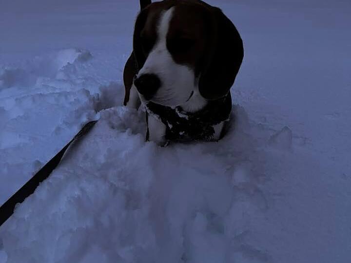 Schulfrei Schnee Januar 2026