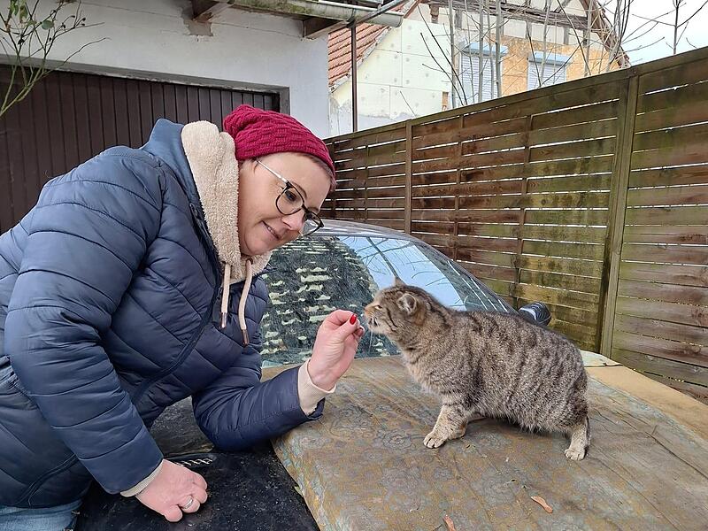 Kastrationsaktion in Maroldsweisach