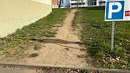 Einer der sch&ouml;nsten Trampelpfade in Forchheim f&uuml;hrt vom Parkplatz der Firma Weber & Ott zum Eingang des Fabrikverkaufs an der Bayreuther Stra&szlig;e.
