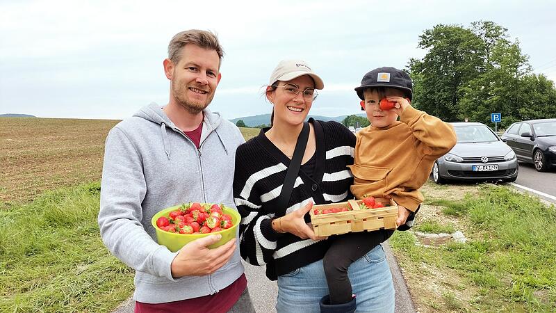 Familie D&uuml;sel aus Gaustadt hat sich am Selbsterntefeld bei P&ouml;deldorf mit Erdbeeren eingedeckt.